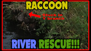 Raccoon River Rescue