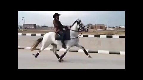 Horse riding #ytshorts #shorts #PetpupFun #Fun #Dogs #Cats #Entertaiment #trending #viral