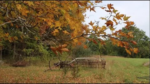 Fall on the farm