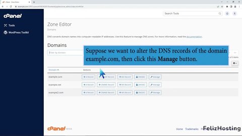 How to edit or delete a Record in cPanel using the DNS Zone Editor with FelizHosting