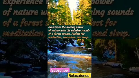 Serene Sounds of Forest Stream #relaxingsounds #relaxante #stressrelief #calmness #asmrsleepinghelp