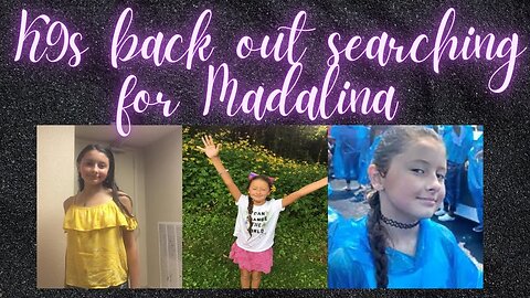 Madalina Cojocari Update, Police take K9s in to search Residence 85 days after last seen!