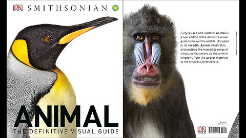 Animal: The Definitive Visual Guide