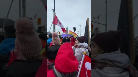 Freedom Convoy Ottawa - Dr. Byram Bridle Speech - February 12th