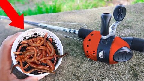 Fishing with Livebait Worms for Whatever Bites! (4 Species)