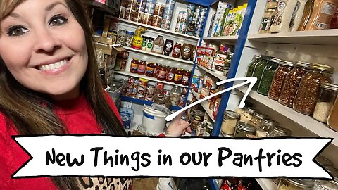 New Things in OUR Pantries | Food Storage + Organize with Me | Building A Store