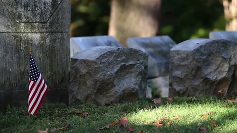 Beachfront B roll Cemetery Flag Free to Use HD Stock Video Footage