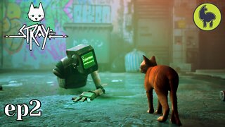 Stray ep2 Dead City (PS5 4K)