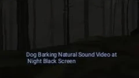 Natural Sound For Dog at Night Black Screen