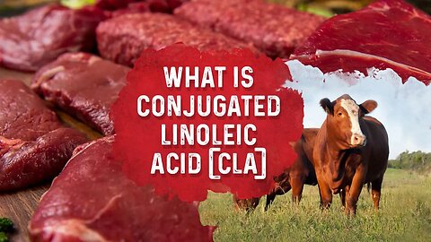 What Is Conjugated Linoleic Acid? – Dr. Berg