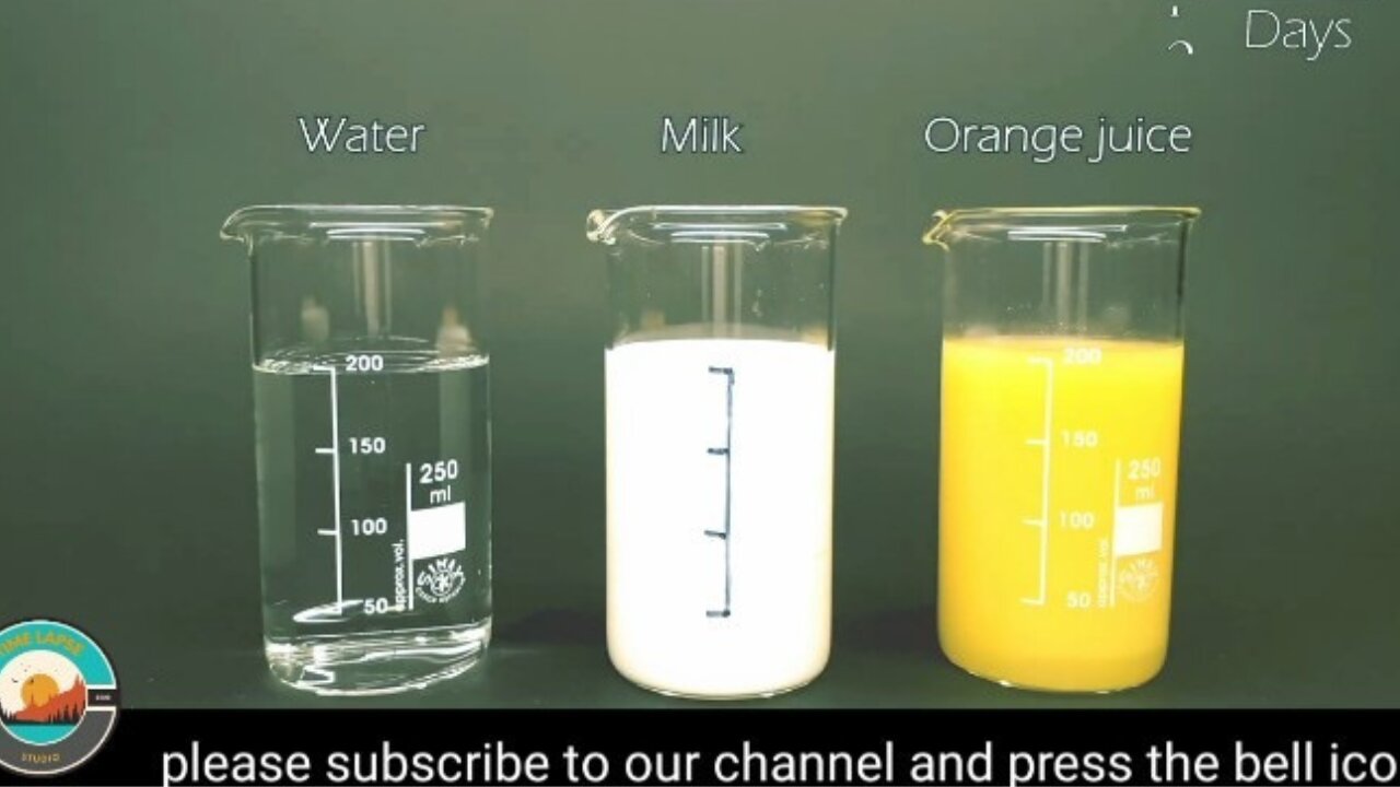 Time Lapse video| How does Water, Milk and Orange juice evaporate in 74 ...