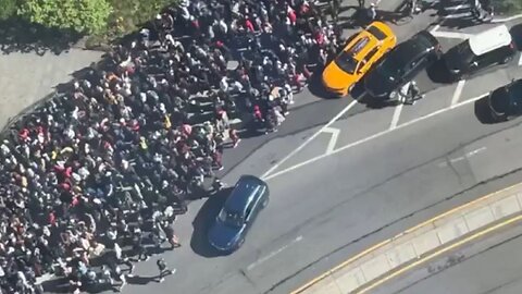 Thousands Of African Illegals Crowd New York City Hall For Hearing On 'Uprooting Anti-Blackness'