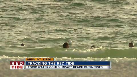 Southwest Florida tourists head to St. Pete and Clearwater beaches despite red tide