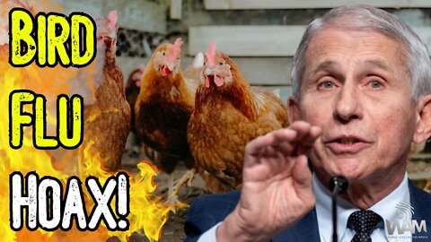 IT'S A TRAP! - NEW Bird Flu HOAX Leads To MORE FEAR! - Fauci & The EU Says The "Pandemic Is Over!"