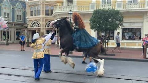 Un ballon fait perdre le contrôle à un cheval à Walt Disney World