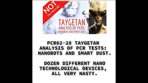 PCR02-28 TAYGETAN ANALYSIS OF PCR TESTS: NANOBOTS AND SMART DUST. DOZEN DIFFERENT NANO TECHNOLOGICAL