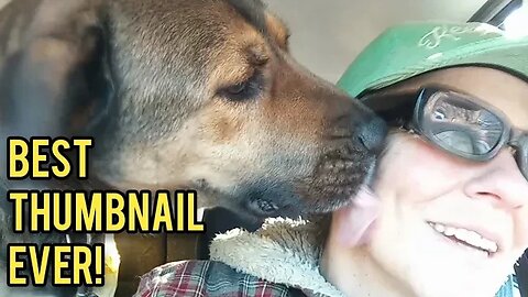 Best Thumbnail Ever! - Ann's Tiny Life and Homestead