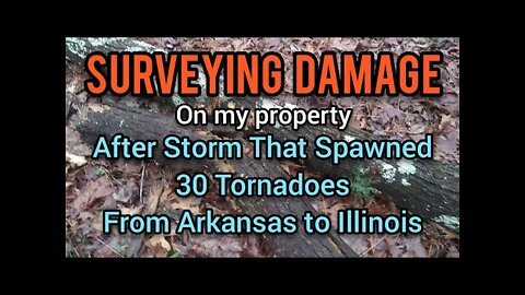 Surveying Damage | 30 tornadoes Arkansas, Tennessee, Kentucky, to Illinois - Ann's Tiny Life