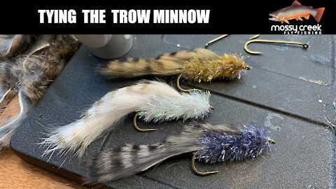 Trow Minnow