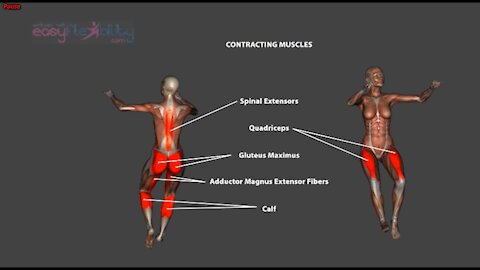 Renverse Tilt Jump Ronverse Dance Ballet Anatomy Kinesiology - YouTube