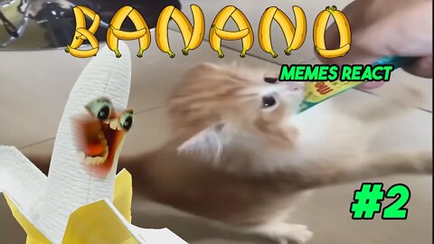 MEMES PRA ALEGRAR SEU DIA- BANANO REACT #2