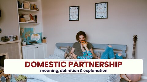 What is DOMESTIC PARTNERSHIP?