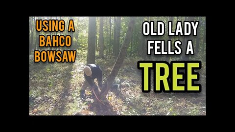 Old Lady Fells a Tree Using a Bahco Bowsaw - Ann's Tiny Life