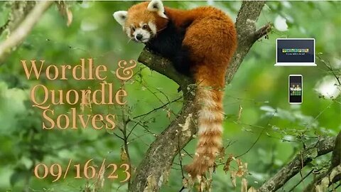 Wordle & Quordle for September 16, 2023 ... Happy International Red Panda Day, and Boy Did I Goof!