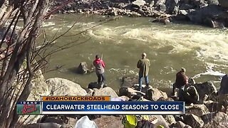 Steelhead season closes