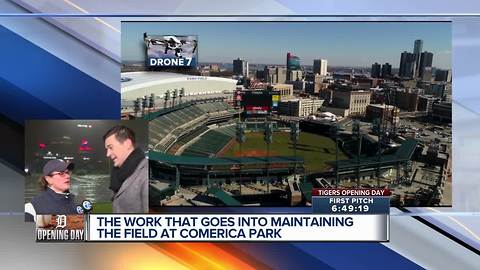 How the grounds crew prepares for rain at Comerica Park