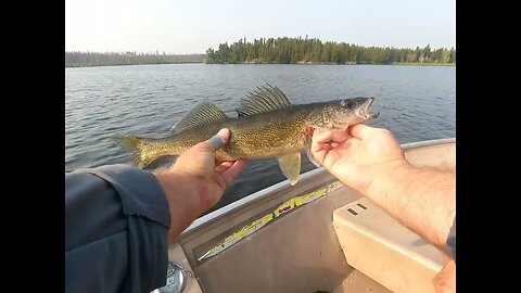 Father Son Wilderness Walleye Adventure!!