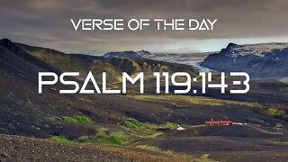 November 16, 2022 - Psalm 119:143 // Verse of the Day