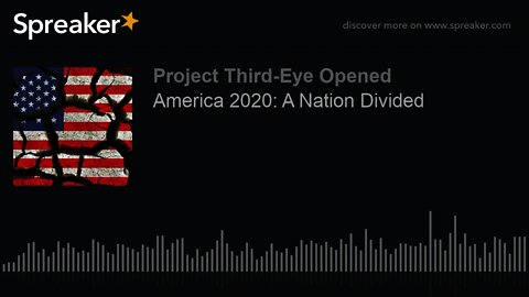 America 2020: A Nation Divided