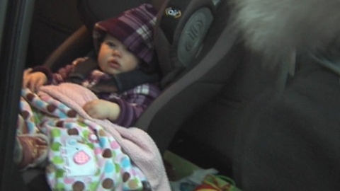 Toxic chemicals in car seats