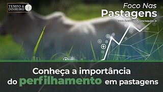 Foco nas Pastagens hoje: Conheça a importância do perfilhamento em pastagens