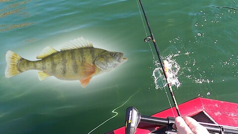 Catching a TON of Perch at Raystown Lake Nov 4th 2020