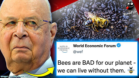 WEF Orders Govt's To Burn Millions of Bees To Usher In 'Global Famine'