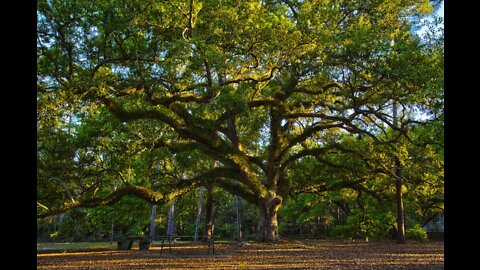 MEL K: AUTHOR G EDWARD GRIFFIN ON EXPOSING THE CREATURE FROM JEKYLL ISLAND 7-2-22