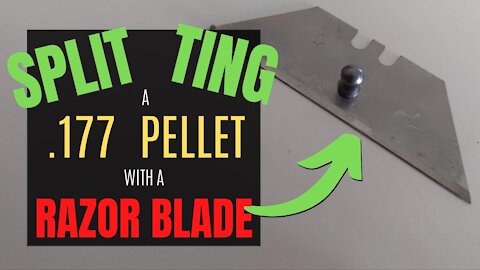 Splitting A .177 Pellet With A Razor Blade - Air Rifle Pest Control