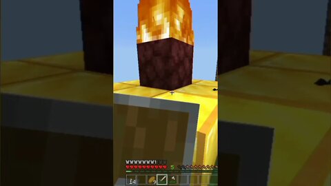 We found HEROBRINE on MINECRAFT!!!