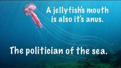 Alberta Pastor Jailed For Holding Services And Proof Globalists/Politicians Are Jellyfish!