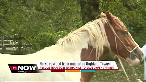 Horse sinking in mud saved by metro Detroit first responders