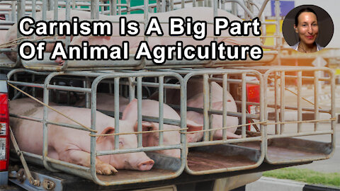 Carnism Is A Big Part Of The Root Of The Problem Of Animal Agriculture - Melanie Joy, PhD