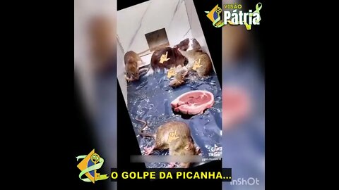 Conheçam as incríveis, as infalíveis, as espetaculares... ARMADILHAS FAZUÉLI! 🤣 Faz o L aí, Trouxa!