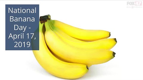 5 Fun Facts to Go Bananas Over On National Banana Day!