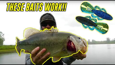 Googan Squad BANDITO BUG BEATDOWN!! (SECRET POND FISHING)