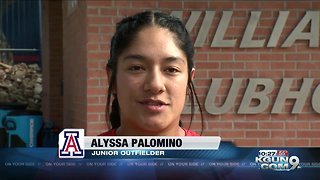 Arizona Softball under construction