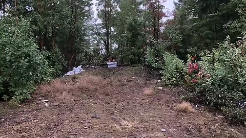 Danger Close! 50lbs of Tannerite