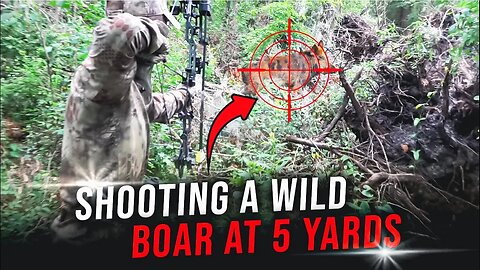 Shooting A Wild Boar at 5 Yards!!!