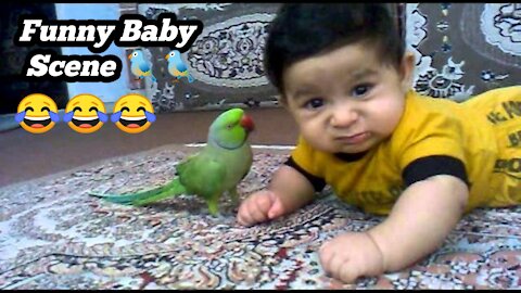 Parrot Play With Little Baby Video 🐦🐦